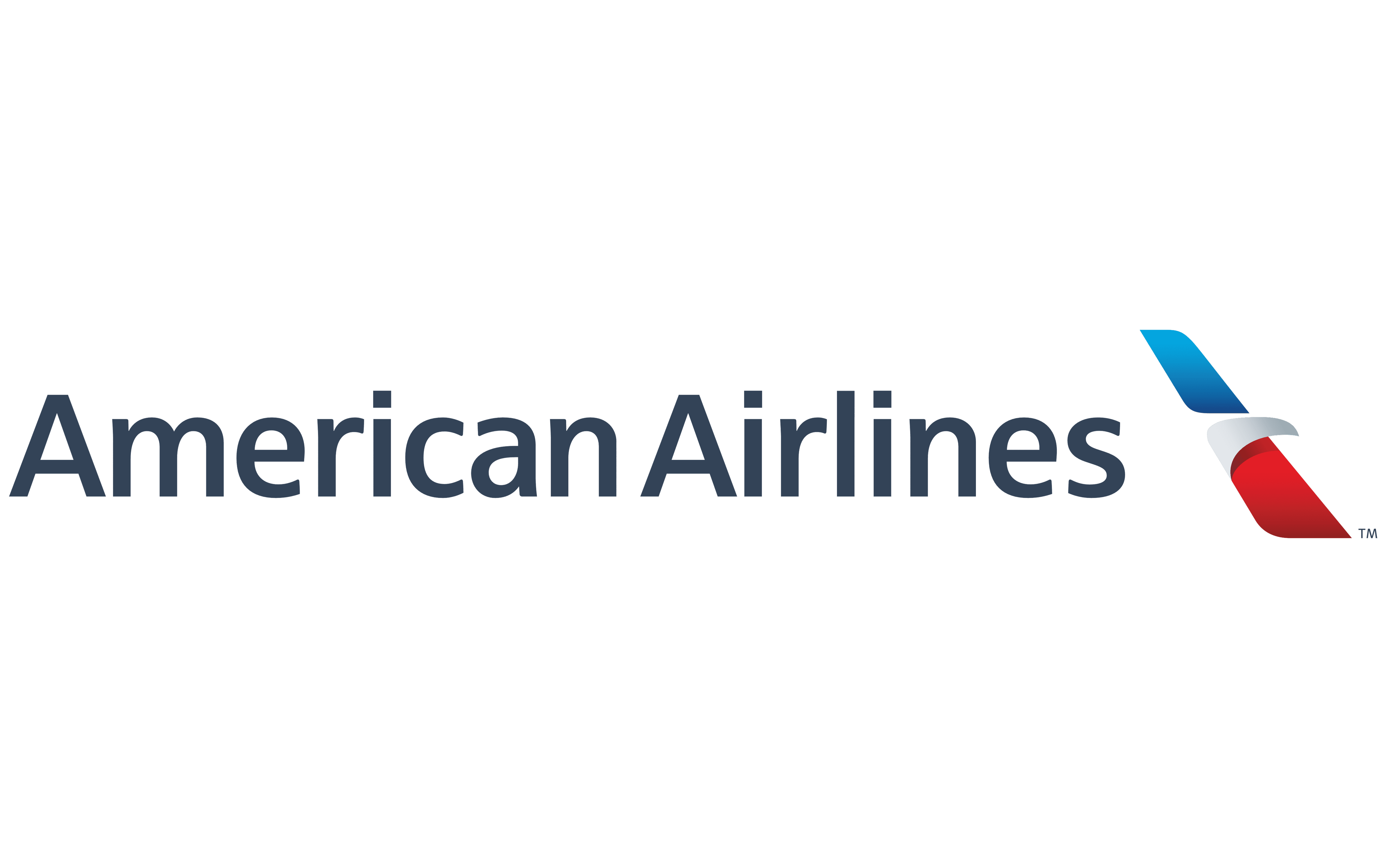 American Airline Dummy Ticket