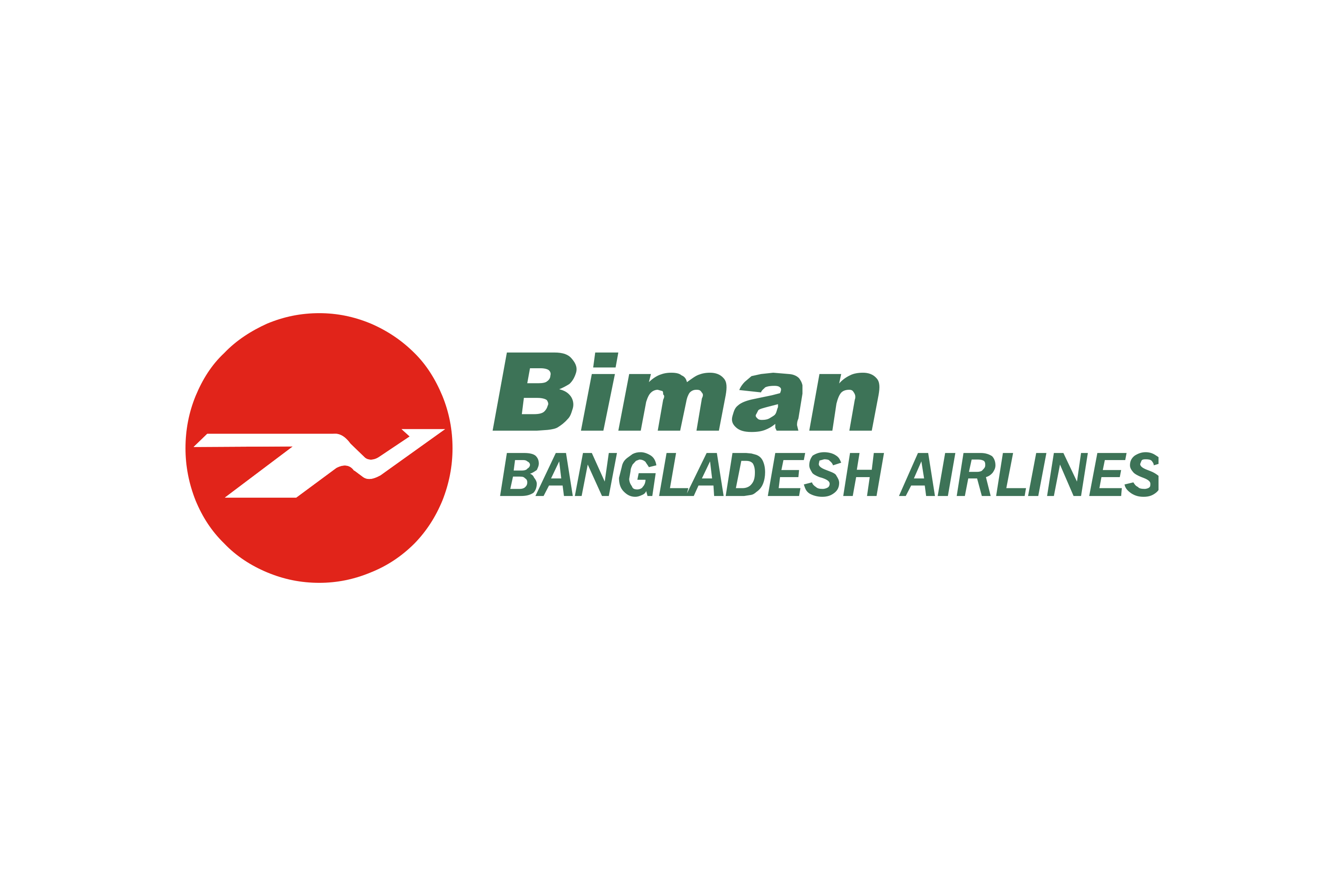 Biman Bangladesh Airline Dummy Ticket